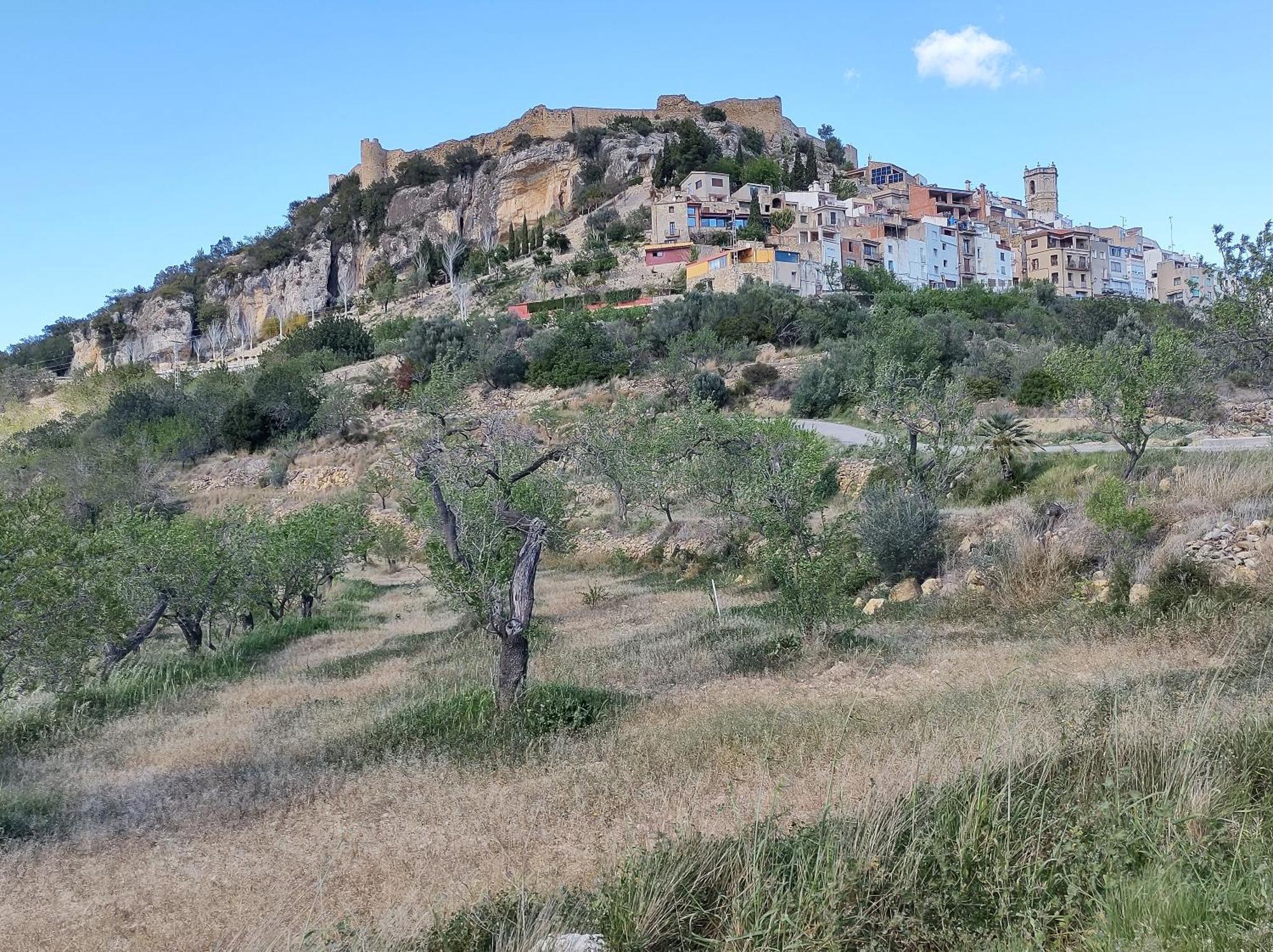 Tranquil And Spacious Townhouse In Historical And Picturesque Cervera Del Maestre Bagian luar foto